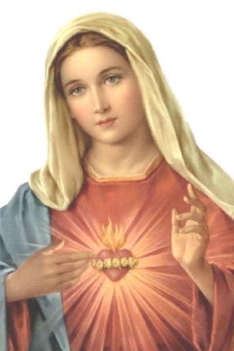 Imagen de Virgen María 8