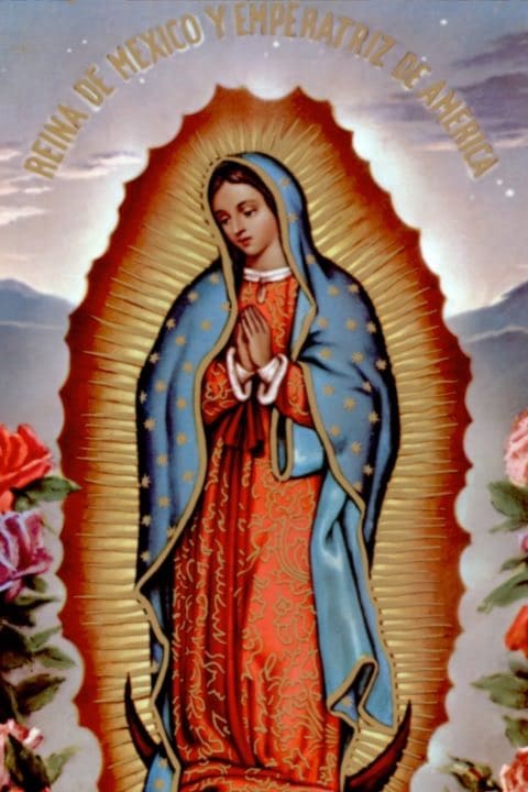 Virgen de Guadalupe 6