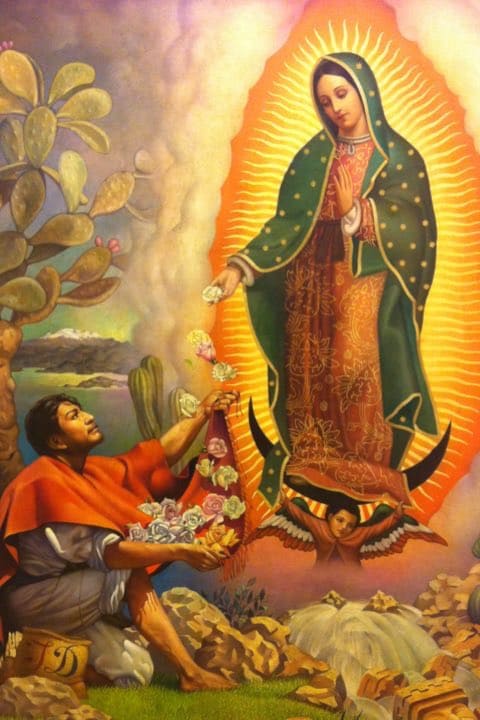 Virgen de Guadalupe 7